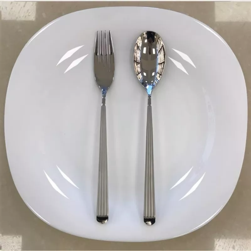 خرید سرویس قاشق و چنگال 39 پارچه (SA-1290) مات ساپر